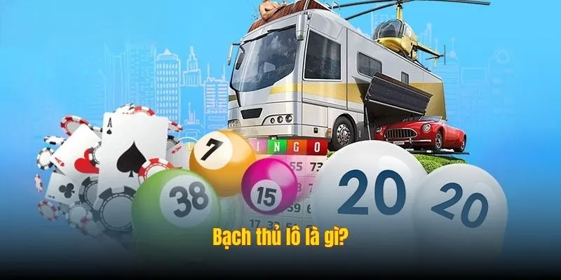 Bạch thủ lô
