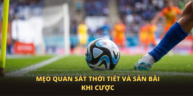 Mẹo quan sát thời tiết và sân bãi khi cược