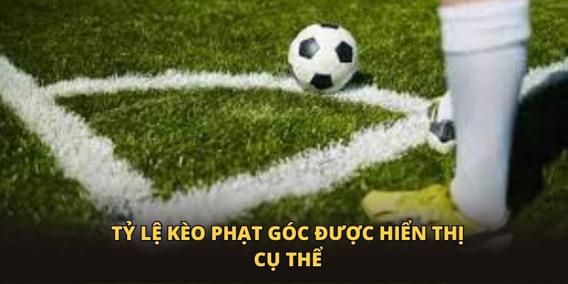Tỷ lệ kèo phạt góc được hiển thị cụ thể